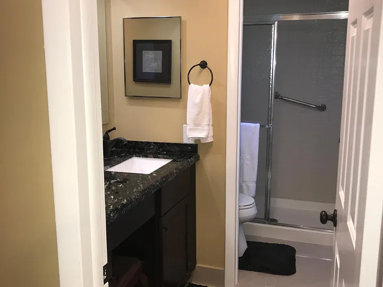 master bathroom showing shower and toliet in separate room from vanity