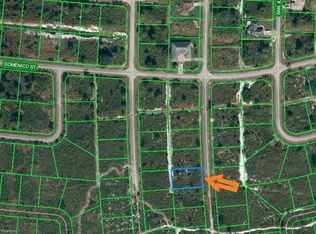 4901 Trevino Ave, Sebring, FL 33872