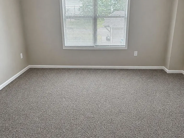 903 Martin Luther King Jr Dr — Photo 15