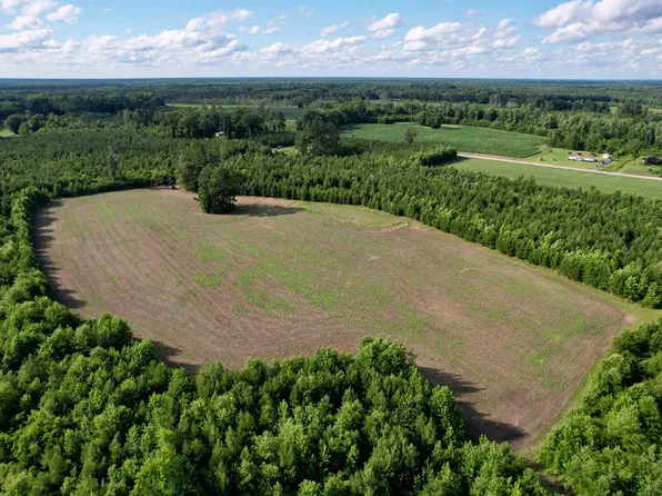 85± Acres - Muddy Creek Rd., Johnsonville, SC 29555