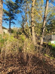 2130 Cavanaugh Ave SE Lot 146, Atlanta, GA, 30316