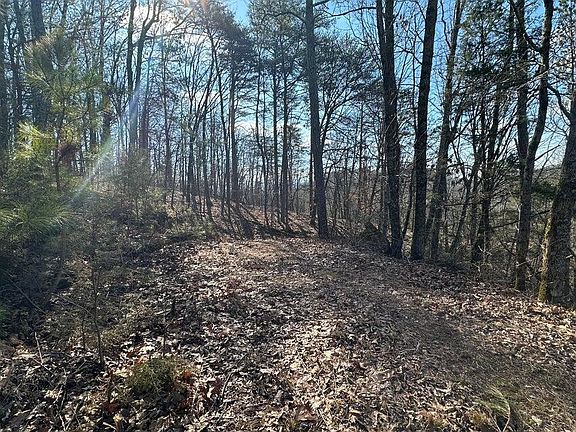 5th image of 125 Fox Trail Dr