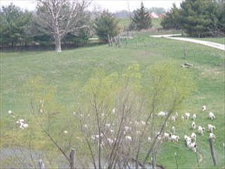 4th image of 8150 County Road 62
