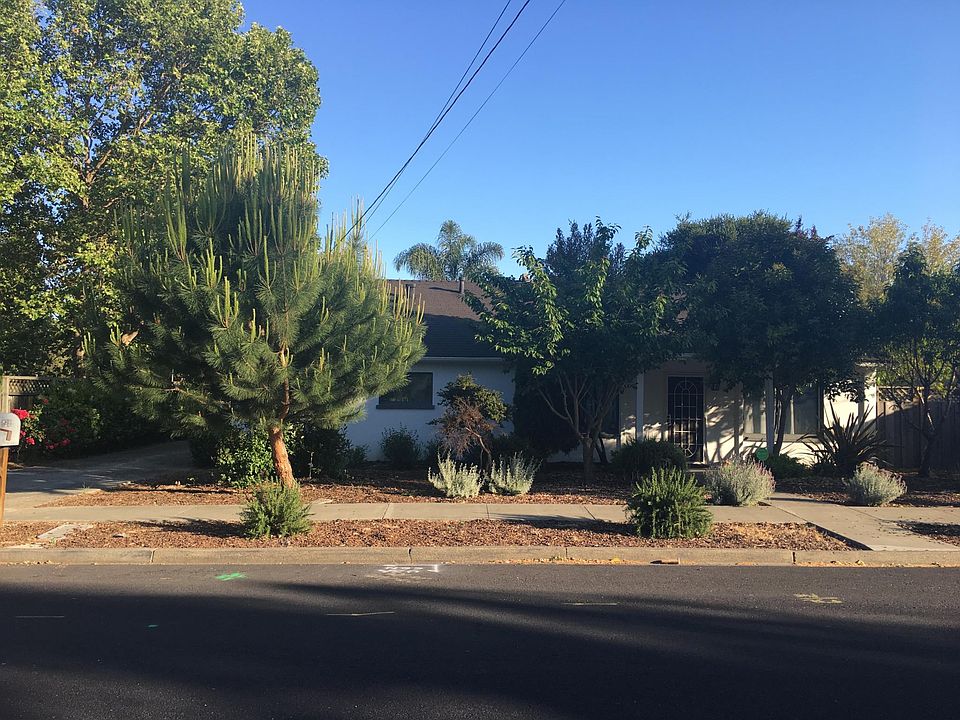 Beautiful low maintenance front yard