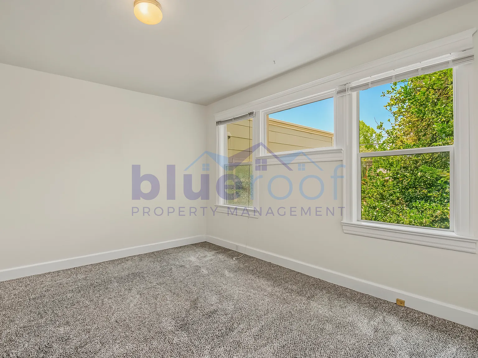 1 bed, 825 sqft, $1,890 — Photo 4
