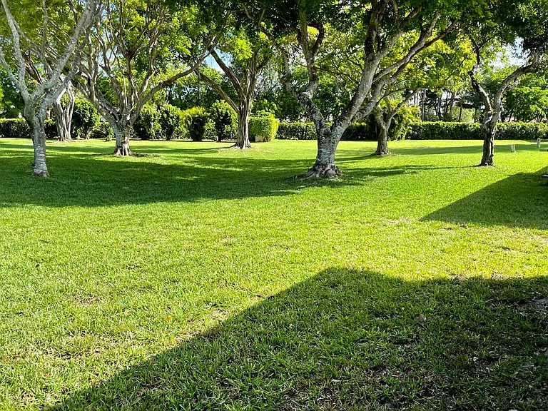 10938 Roebelini Palm Ct #B — Photo 30