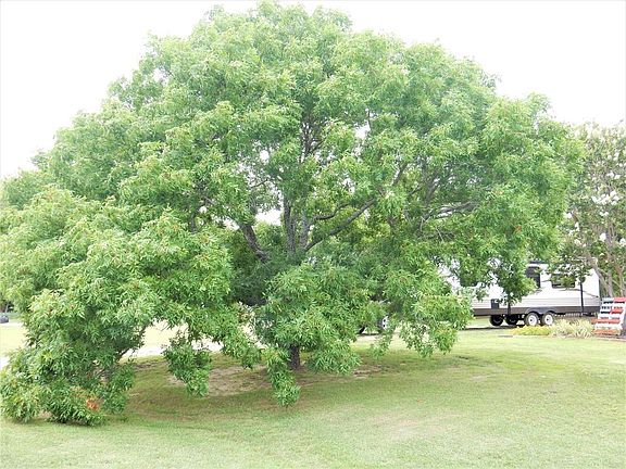 5th image of 4809 Quail Crest Dr