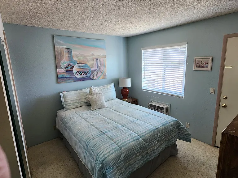 276 Lake Havasu Ave S #C12 — Photo 7