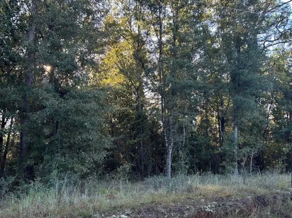 14 & 15 Paradise Dr, Donalsonville, GA 39845