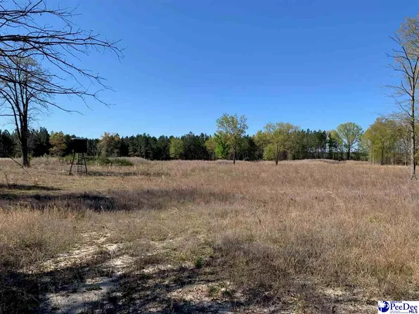 Bear Creek Rd, Chesterfield, SC 29709