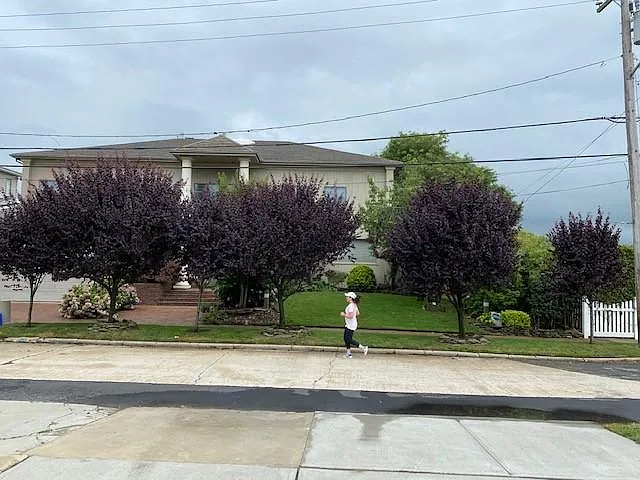 1549 Bay Blvd — Photo 12