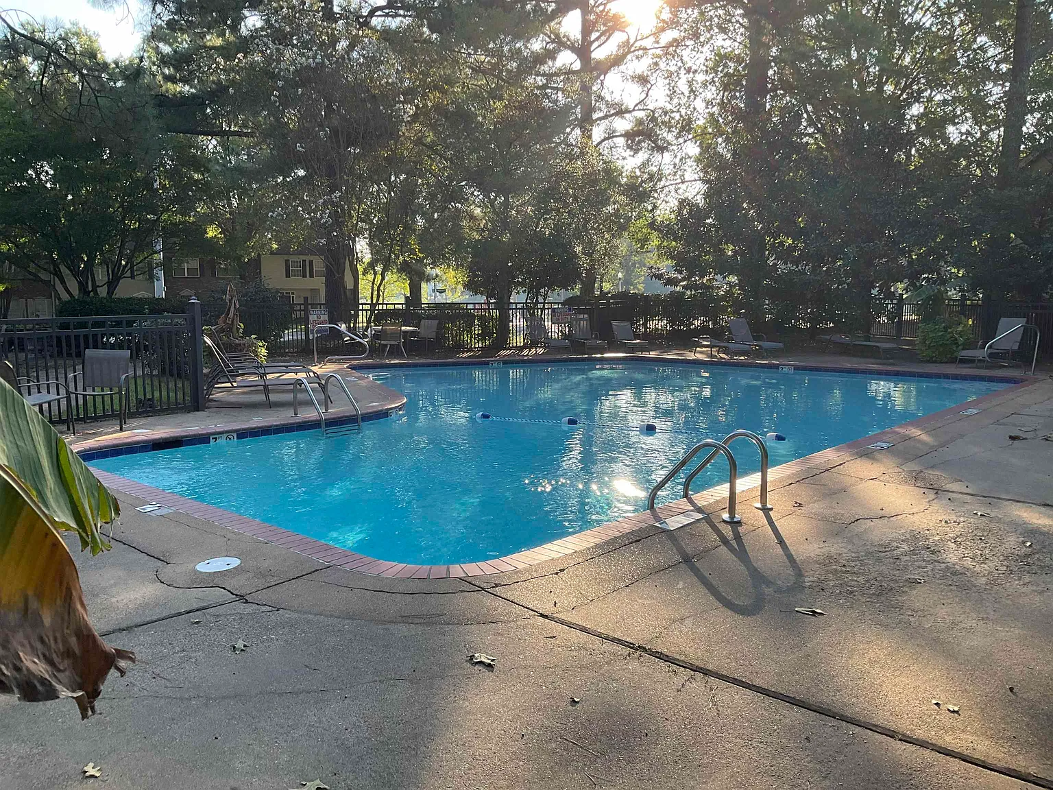 1 bed, 1.5 bath, 978 sqft, $1,500 — Photo 3