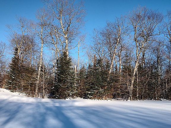 View from Golf Course Winter