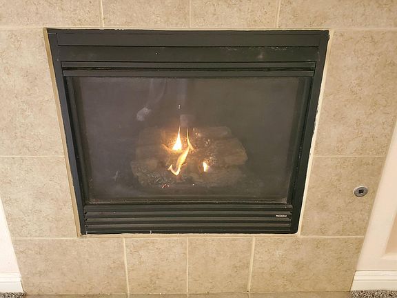 Electronic Gas Fireplace