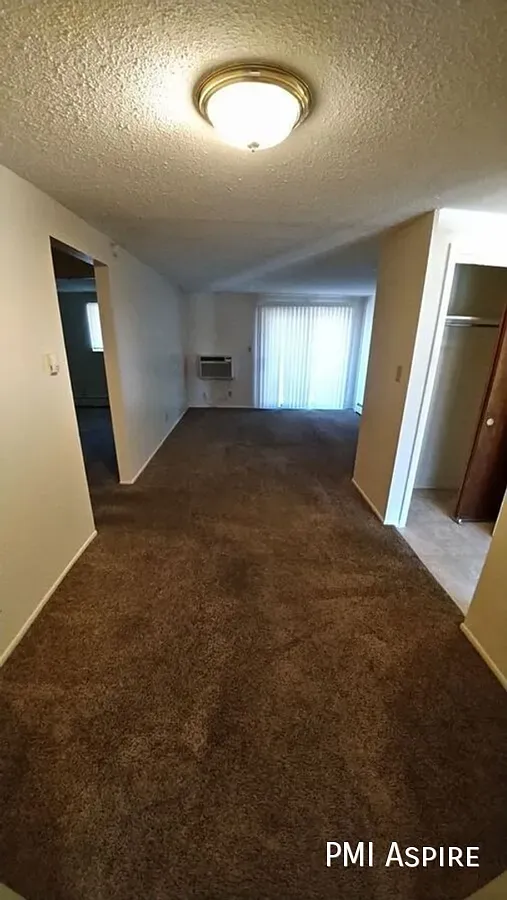 1 Bedroom 1 Bathroom Downstairs Apartment in Longmont — Photo 4
