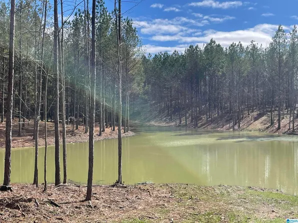 1 Chelsea Rd #3B, Columbiana, AL 35051