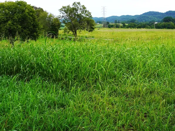 LOT 2 Mount Horeb Rd, Jefferson City, TN 37760