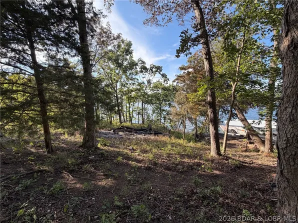 28924 W Gibson Point Rd, Gravois Mills, MO 65037