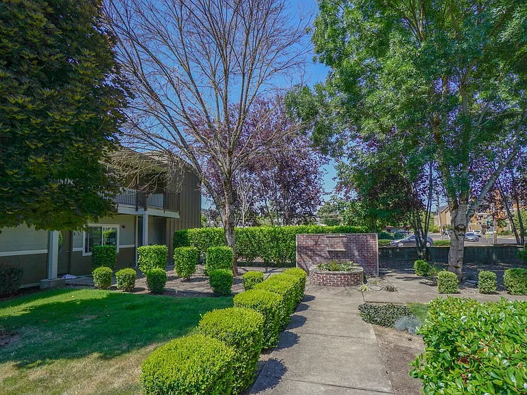Trees Apartment Available Now — Photo 35