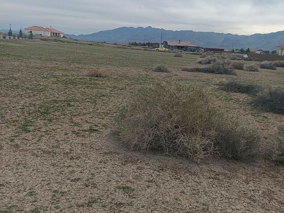 3rd image of 2550 Carnation Way