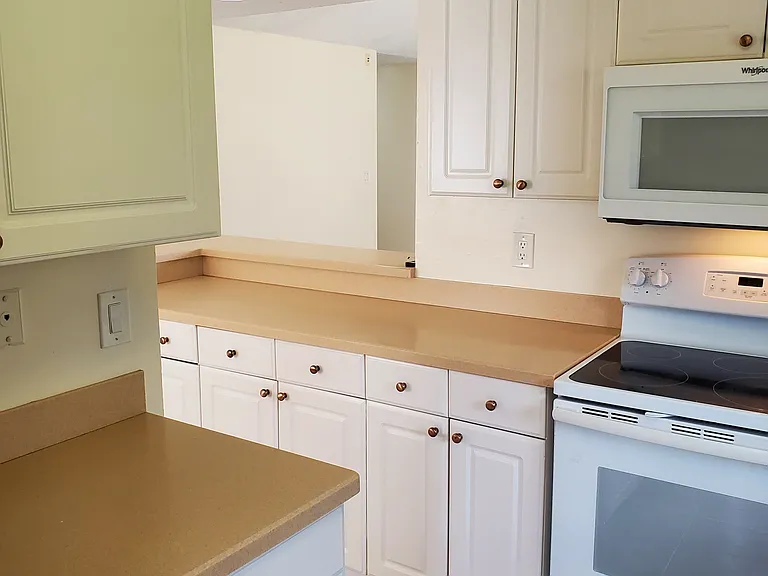 1609 Bent Pine Way — Photo 9