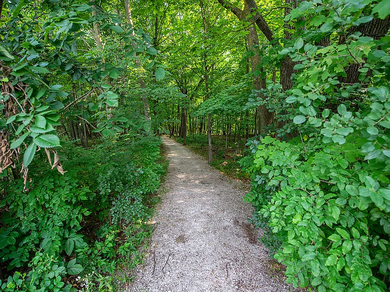 Walking Path that connects Highlands at Wildwood Lake to Wildwood Highlands