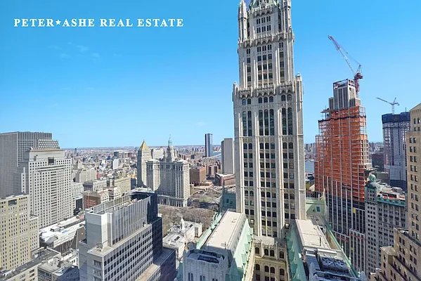 Rented by Peter Ashe | media 62