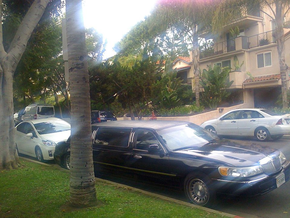 Peaceful neighborhood with palm trees. Parking pass included