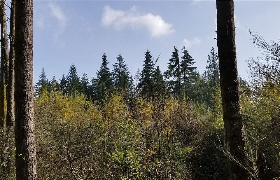 2nd image of 197 Hawkins Rd S