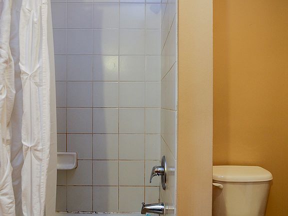 The combo shower/tub.