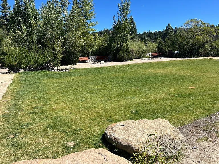 Wedding Grass Right Across the Street with Public Bathrooms!