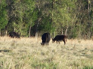 592 Wisdom Rd, Opelousas, LA 70570