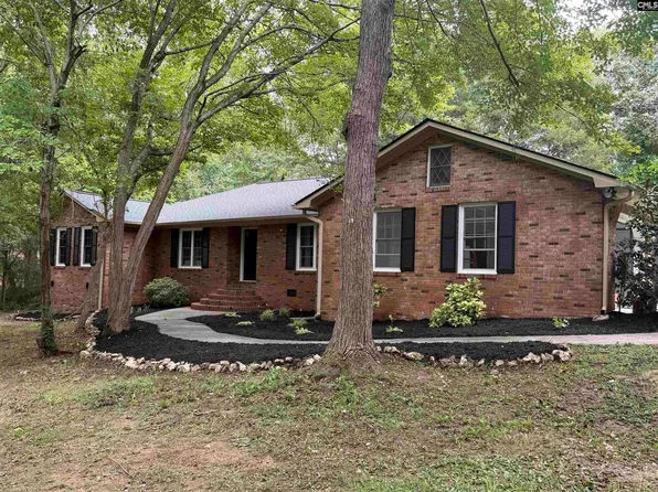 1113 Three Dog Rd, Chapin, SC 29036