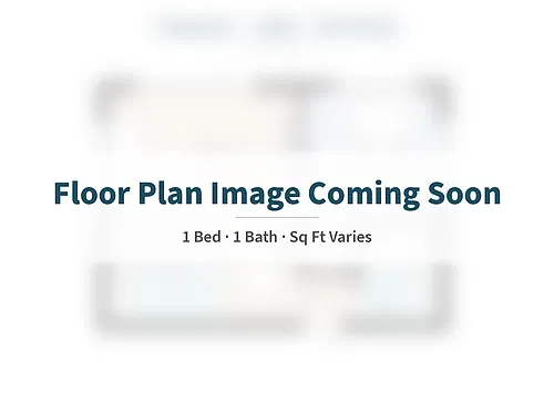 Floor plan Park 15 1BR 1BA