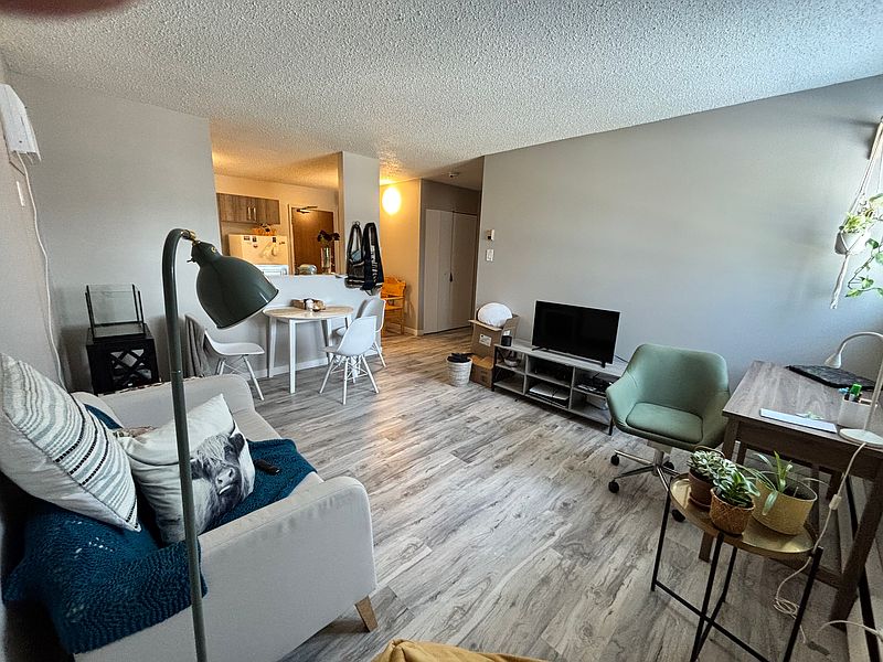Winnipeg Apartment for rent - 1 Bedroom — photo 4