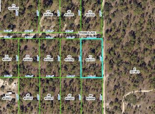 12096 Thames Ave, Weeki Wachee, FL 34614