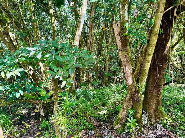 15-2681 Manalo St Lot 1, Pahoa, HI 96778