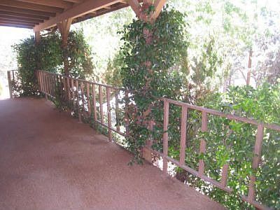 Large patio deck