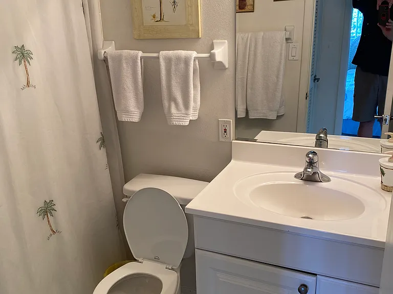 Guest bedroom bath & main bath
