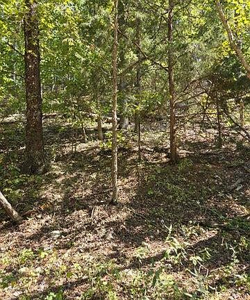 3rd image of 0 County Road 421