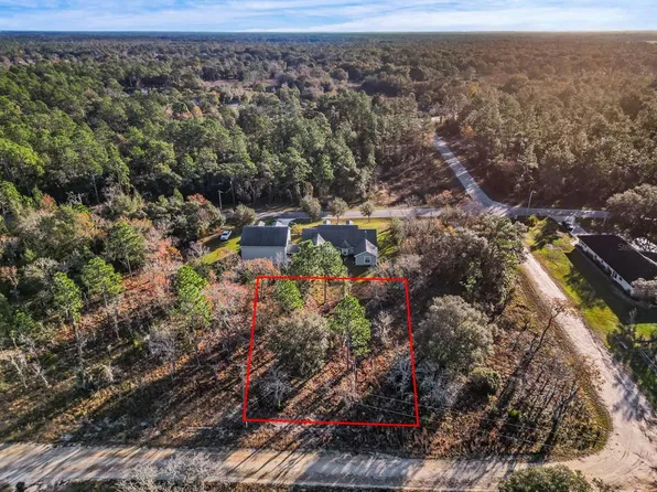NE 149TH CT LOT 17, WILLISTON, FL 32696