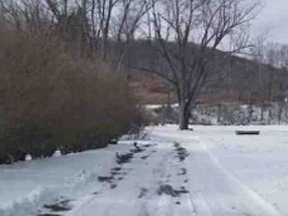 Exterior Neighborhood (street photo)