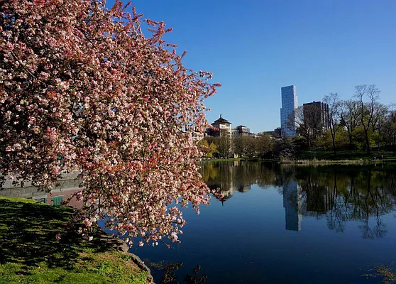 Rented by Bohemia Realty Group | media 44