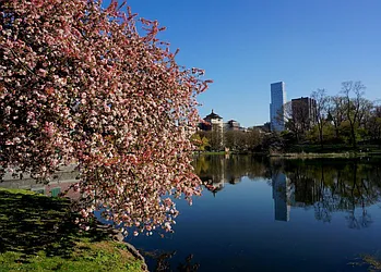 Rented by Bohemia Realty Group