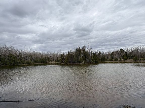4 acre pond with island