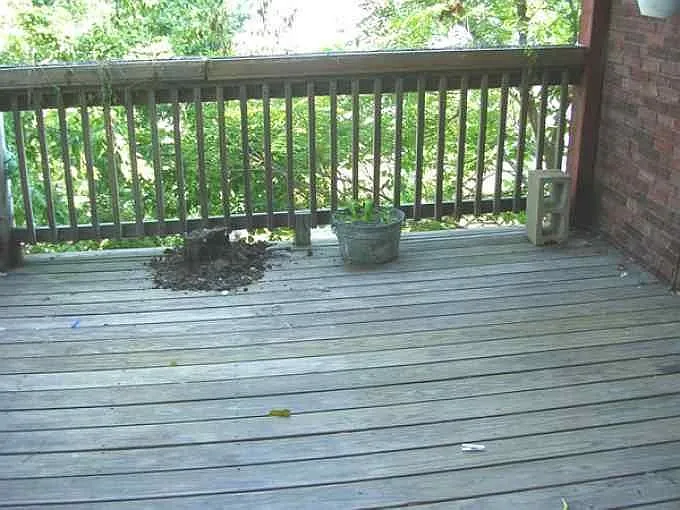 209 Hamilton St #4R — Photo 1
