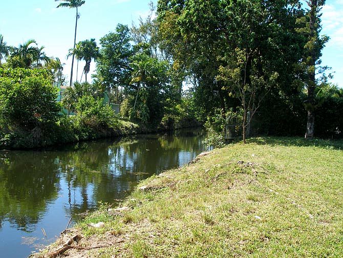 land for sale in miami