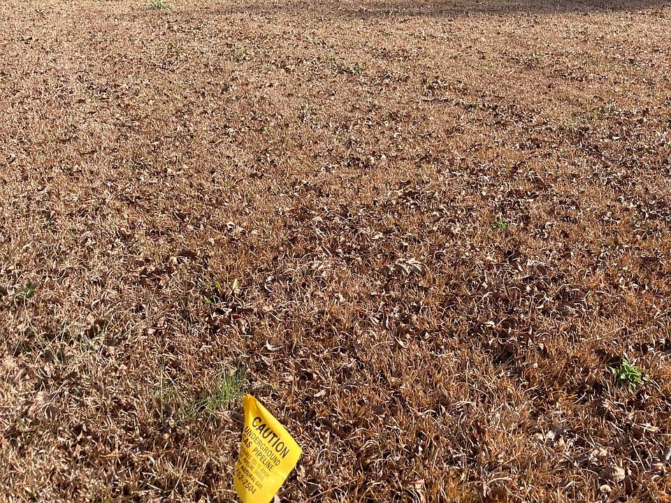 2nd image of 3904 A Old Cherry Point Road