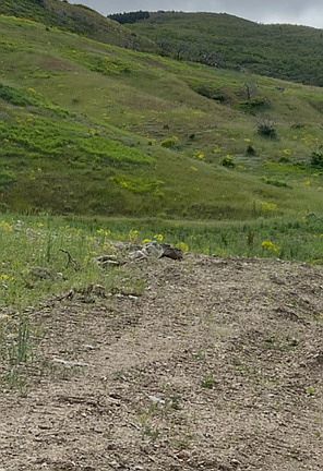 4th image of 218 N Rock Loft Rdg