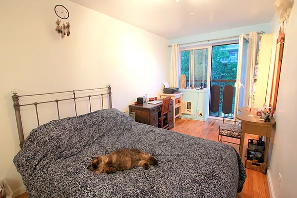 Rented by Jack B Shapiro | media 18